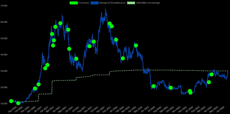 mstr stock: Down 40% – Time to Panic?